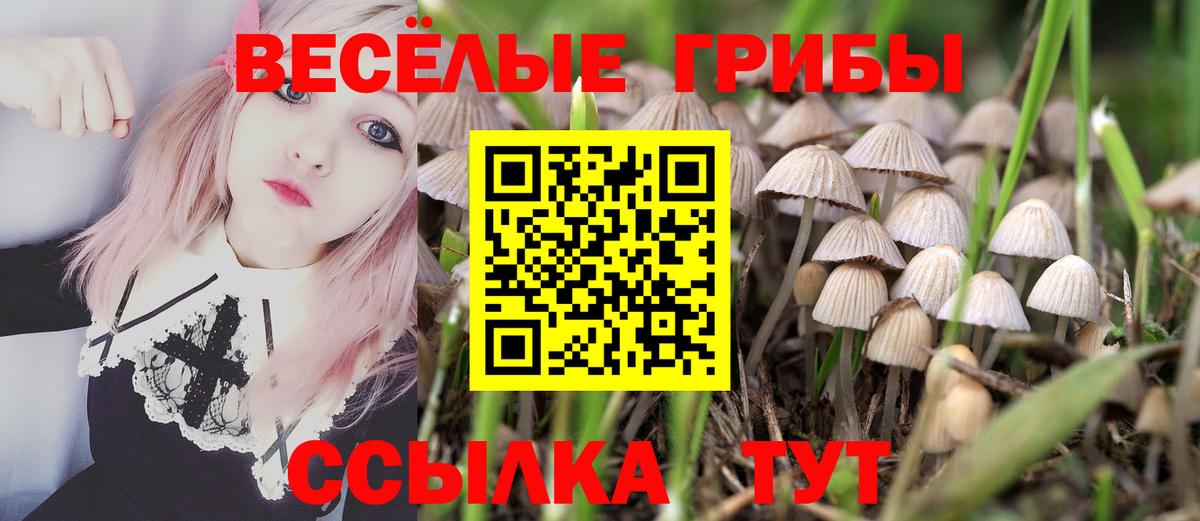 Псилоцибиновые грибы Cubensis  купить наркотик  Семёнов  Вход с VPN 